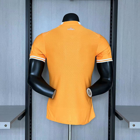 Ivory Coast Pre-Match Player Jersey 23/24