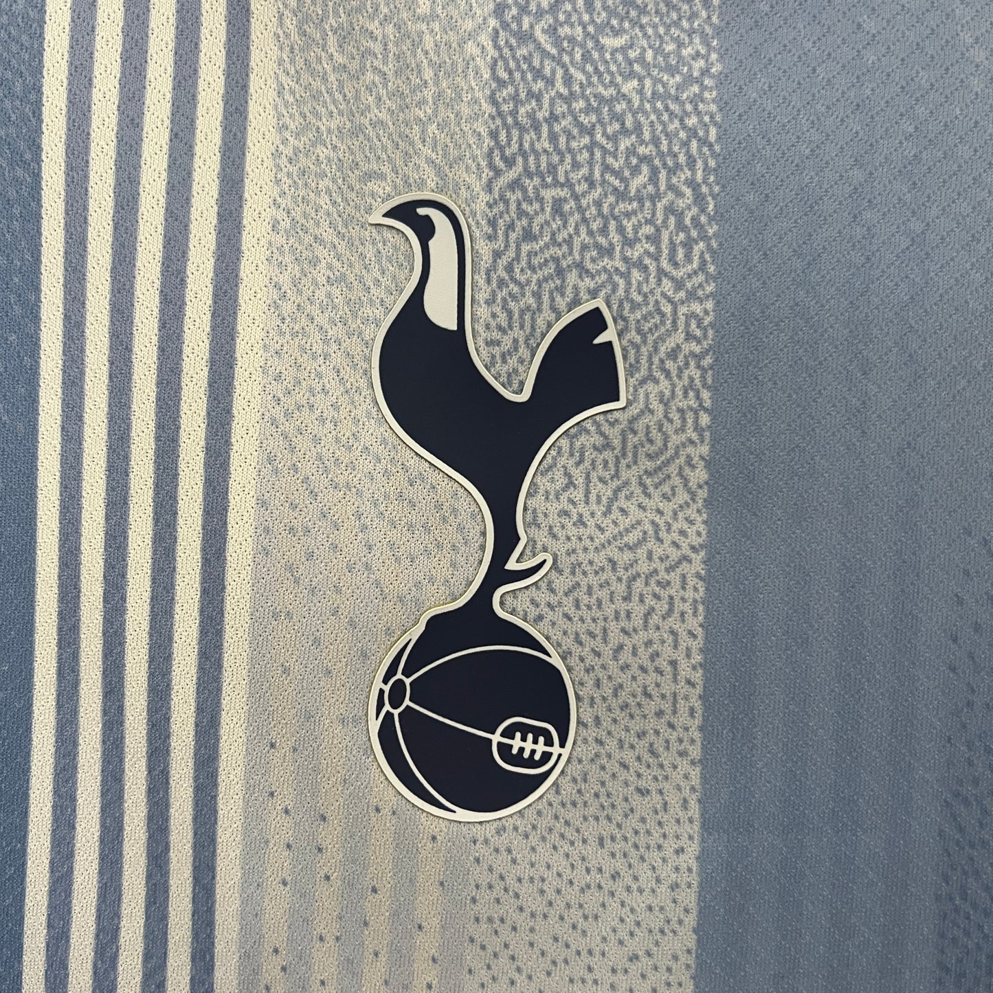 Tottenham Seconda 24/25