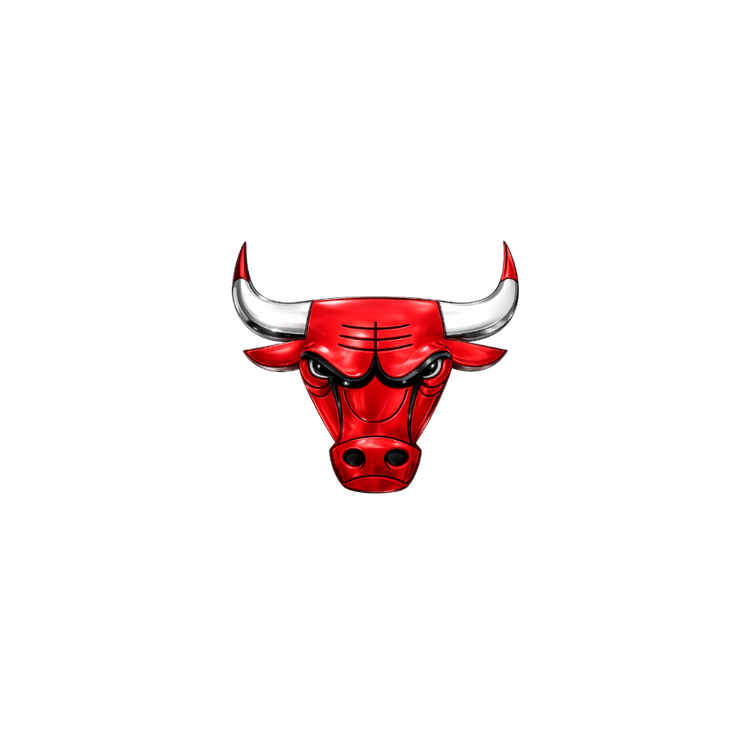 Chicago Bulls