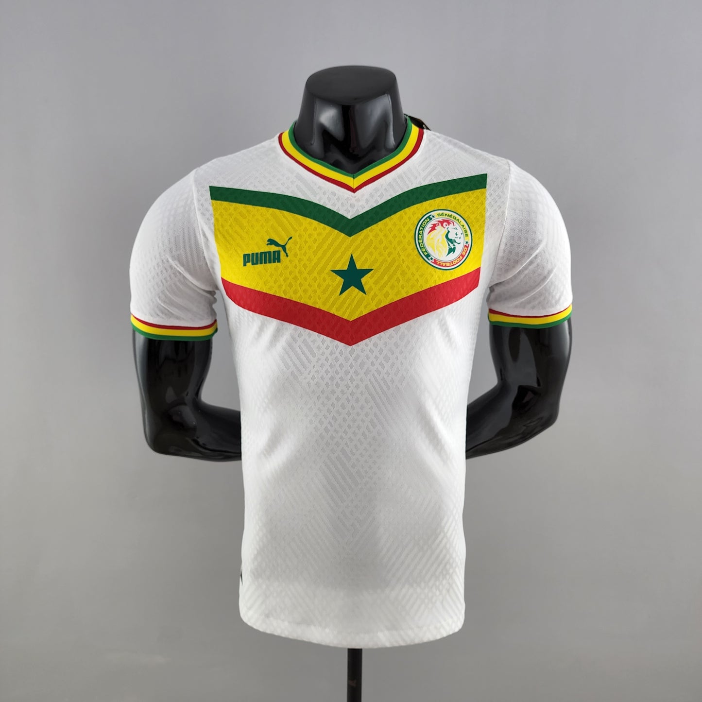 Senegal Prima Tessuto Giocatore 22/23