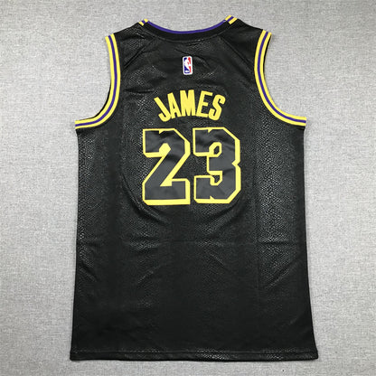 #23 James L.A. Lakers 23/24 Normal