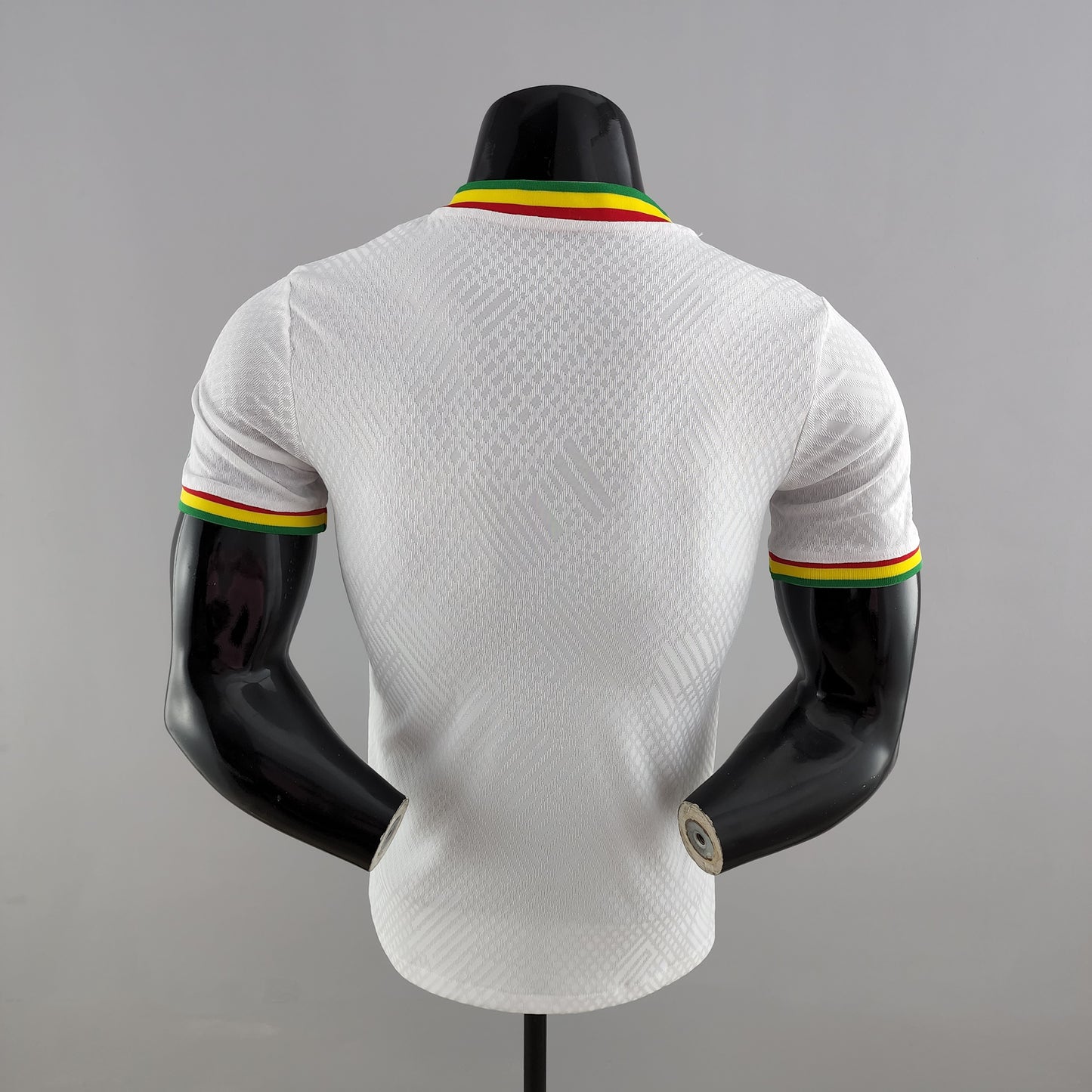 Senegal Prima Tessuto Giocatore 22/23